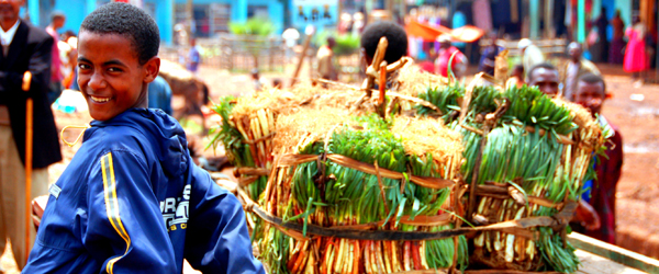 Food-Security-1.jpg