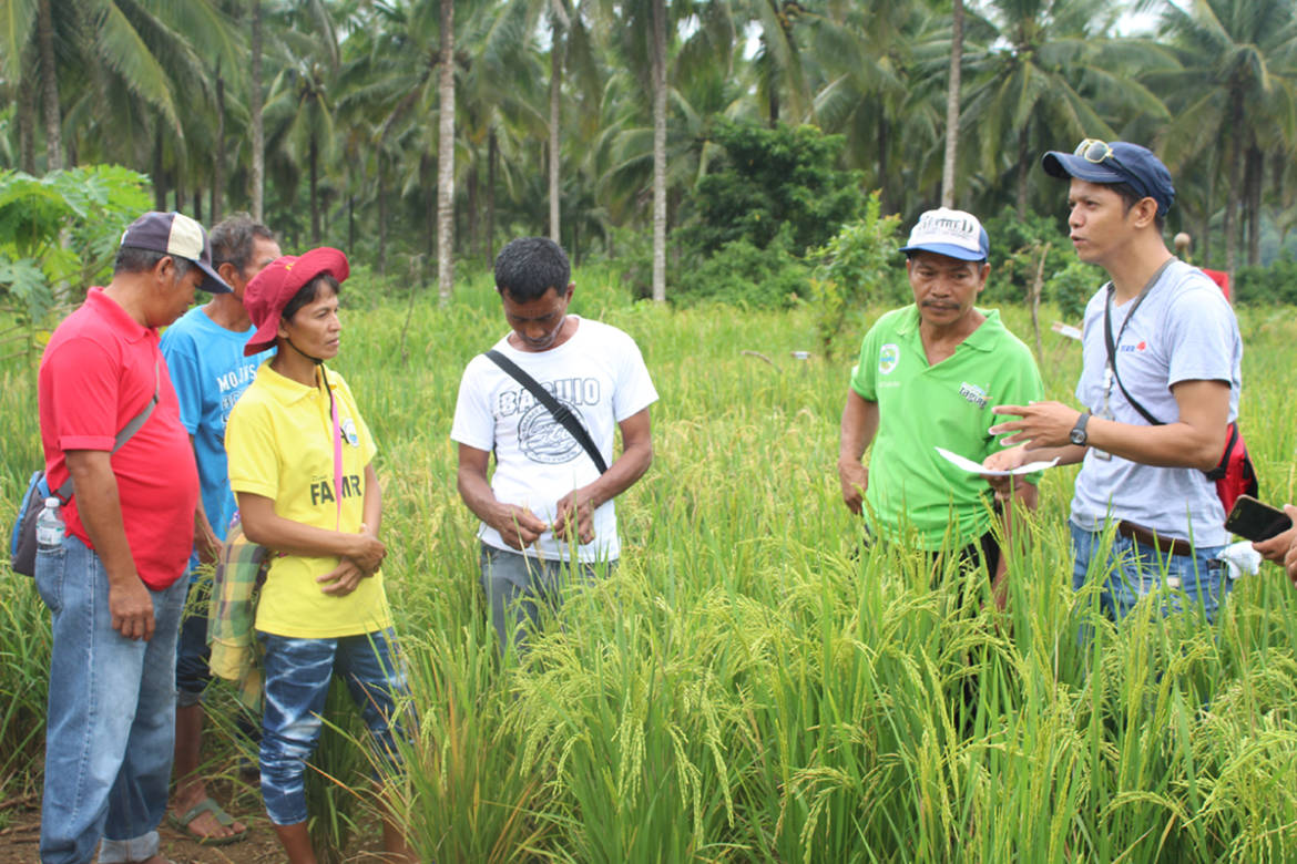 Importance-of-participatory-varietal-selection-in-community-based-adaptation-1.jpg