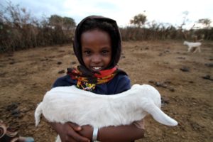 Goats-for-Girls-300x200.jpg