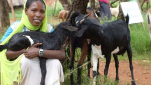 Goats-for-Girls-Green-Scarf-1280x720-300x169.jpg
