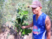 Bernardo Pelayo: Discovering Entrepreneurship in Farming