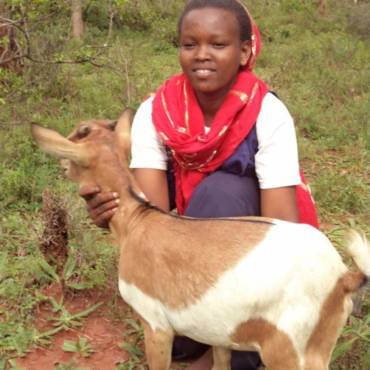 Goats Improve Girls’ Education in Ethiopia