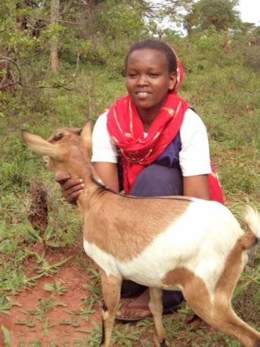 Goats Improve Girls’ Education in Ethiopia