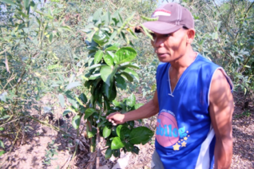 Bernardo Pelayo: Discovering Entrepreneurship in Farming