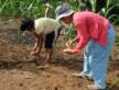 Climate-Smart Villages in the Philippines: Scalable platforms for local adaptation initiatives