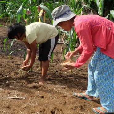 Climate-Smart Villages in the Philippines: Scalable platforms for local adaptation initiatives